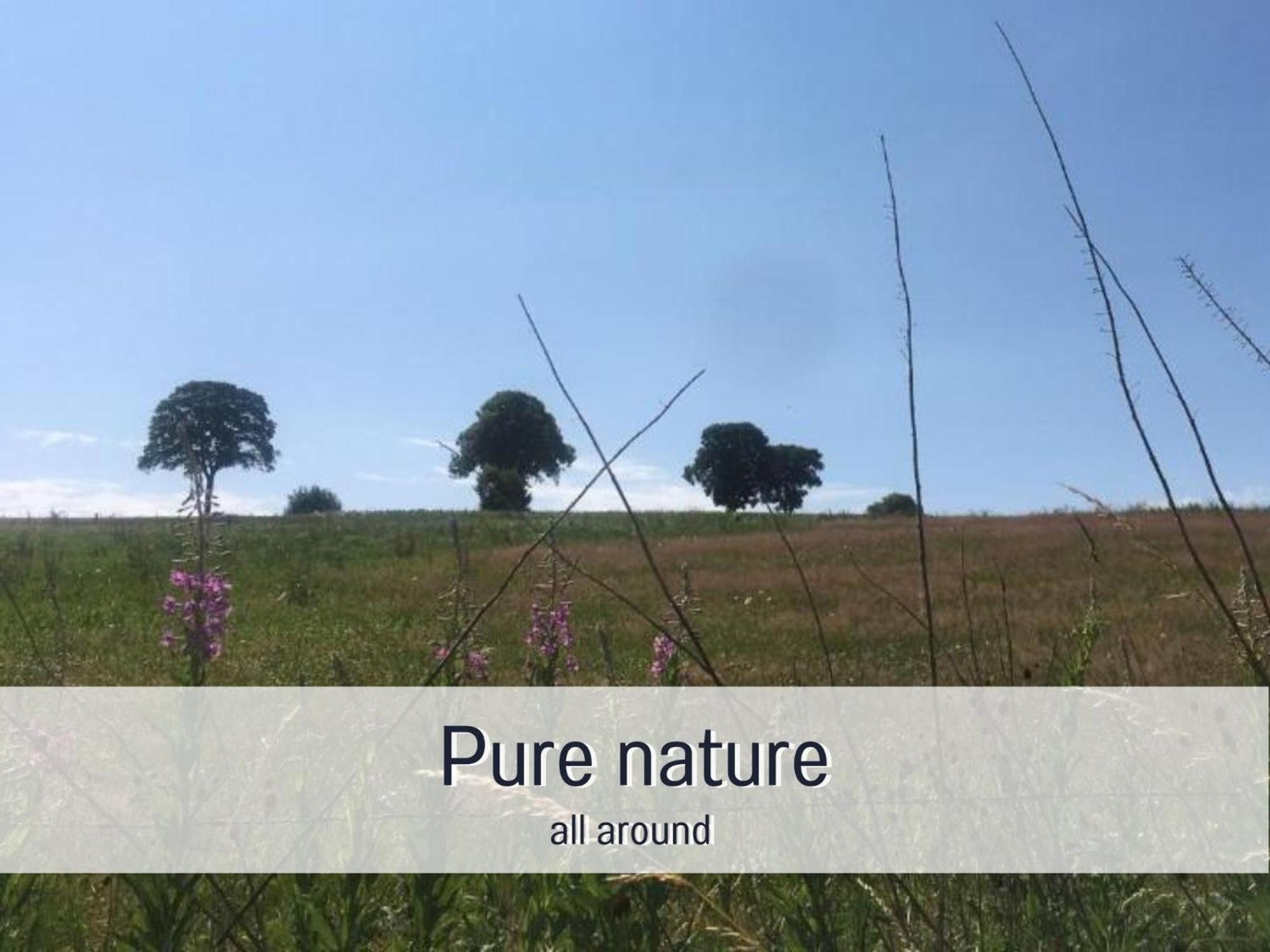 בולאנז' Paulis Cozy 4-Bedroom Vacation Home - With 4 Bathrooms Sun Terrace & Sauna, Nice To Hike & Bike, To Chil & Meet מראה חיצוני תמונה
